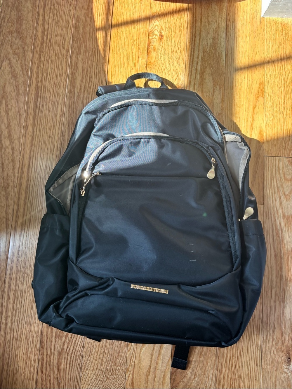 Light Flight Laptop Backpack